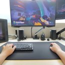 파라나이스