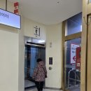 노아스로스팅 롯데백화점 광복점 | 노아스로스팅 롯데백화점 광복점, 부산항 풍경을 마시는 겨울 산책 카페(동백꽃도 함께)