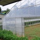 평창강펜션 이미지