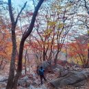 나무그늘 밑의 휴식 | 가평 운악산 최단 코스 단풍 후기 출렁다리부터 병풍바위까지 절경 감상기”