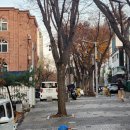 판교매일식당 정자직영점 이미지