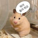 그늘막112 | [렛두로데이] 잠실야구장 두산 vs NC 3차전, 1루 외야석 410구역 1열 후기