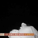 탐험대민박 이미지