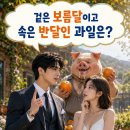 야인파트너스