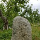 동제농장 이미지