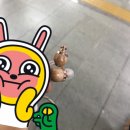 프리넷 | 내돈주고 산 피스넷 프리고 솔직후기+a/s후기(가격, 기능, 장단점, 사용후기)