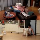 혼밤