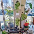 까멜리아 플라워 | (내돈내산)플라워카페 까멜리아