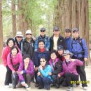 남산골약수터 이미지