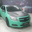 에스(S)게러지 이미지