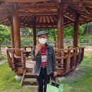 쌍청경로당 Daum카페