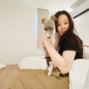 아중 게임랜드 | 전주애견동반숙소 메종드온유 전주여행 후기
