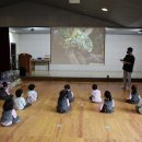 쥬니멀 생태교실- 크레스티드 게코 도마뱀, 블루텅도마뱀, 전갈 🦎🦂 이미지