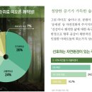라루체 Daum카페