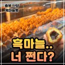 11215-자양3-043 | 단양 흑마늘빵 내돈내산 후기ㅣ진짜 맛있다.. 구경시장 찰보리빵 가격과 선물 포장 팁