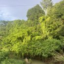 팜비치호스텔 이미지