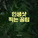 스마트폰으로 인생 샷 찍기(스마트폰 사진 기술) 이미지