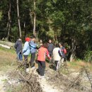 하늘내린농장 이미지