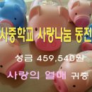 돼지사랑 이미지