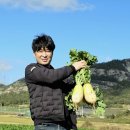 산들바람작목반 영농조합법인 | [유기농신문] 12월 친환경농산물에 진도 ‘유기농 무’