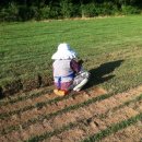 동운농장 이미지