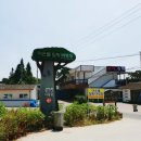 [태안] 어은돌힐링야영장 이용 후기