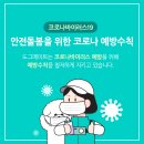 도그바이러스 이미지