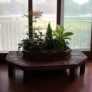 늘푸른정원 이미지