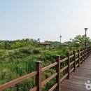 봉골목장 브런치