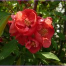 영락고등학교 이미지