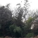 소구월사거리 이미지