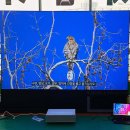 서인 합기도검무관 이미지