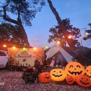 칠봉 송정 캠핑장 이미지