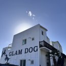 해피독 애견펜션2 이미지