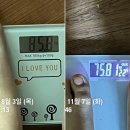 달단비 점핑&힐링다이어트
