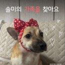 솔미/여아/만3살 이미지