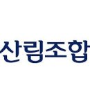 재일산림