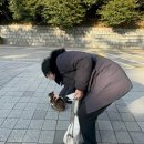 커플 부산 여행 코스🩵 뚜벅이 여행✨ 양산 집/씨앗호떡/은하수 유람선/갈매기 새우깡 체험/태종대/자갈치...