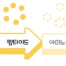 옵티마참약국 네이버블로그
