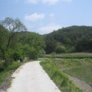 오계초등학교 이미지