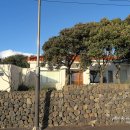 제주클래식위미 이미지