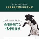 더오래 동물병원 이미지