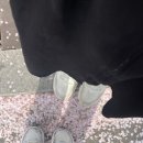 일류세탁소 이미지