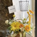 아비앙또 이미지