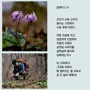 《출석글》 24년05월03(금) 이미지