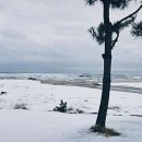 매카라 게스트하우스 이미지