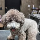 뚜뚜하니 이미지