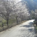 (주)다인필 네이버블로그