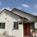 엄마의 밥상 | 보은 읍내 맛집 추천 엄마의밥상 후기