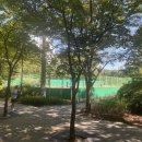 마들테니스장 | 마들스포츠타운 테니스장 인조잔디 방문 후기